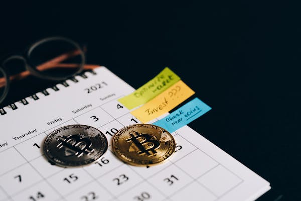 Skąd początkujący inwestujący w kryptowaluty powinni czerpać wiedzę?